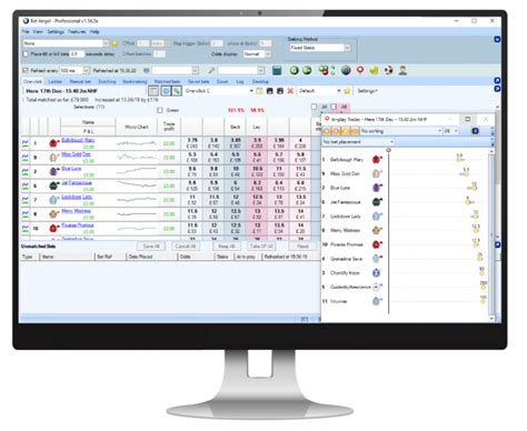 bet angel user guide|bet angel professional.